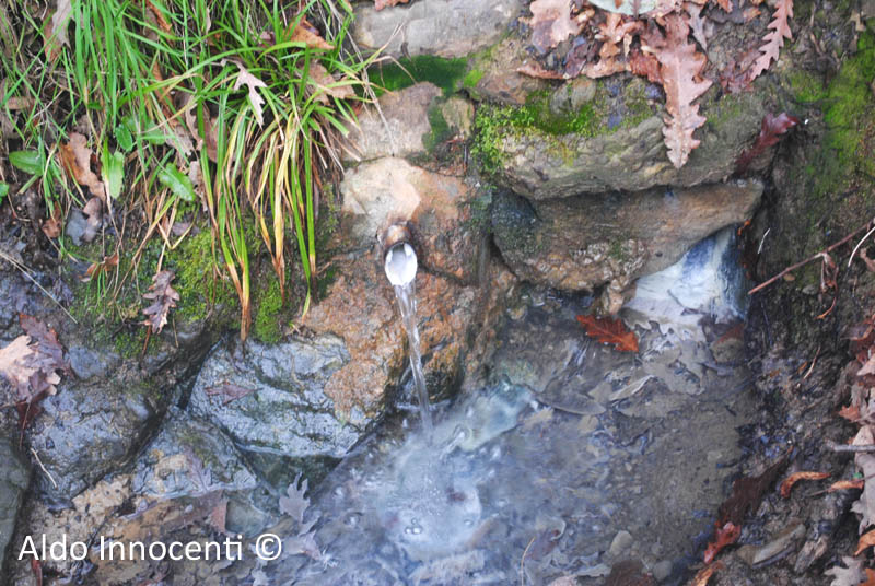 SORGENTE DELL'ACQUA ZOLFINA 4' IMMAGINE